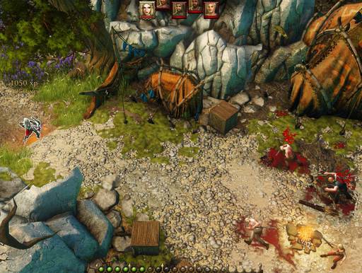 Divinity: Original Sin - Divinity:Original Sin: Две лучницы.